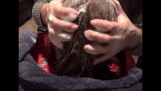 ASMR Shampoo (Bonus Countdown) Whisper & Soft spoken
