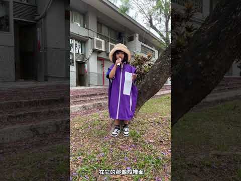 炎峰附幼大樹導覽員介紹-藍花楹木