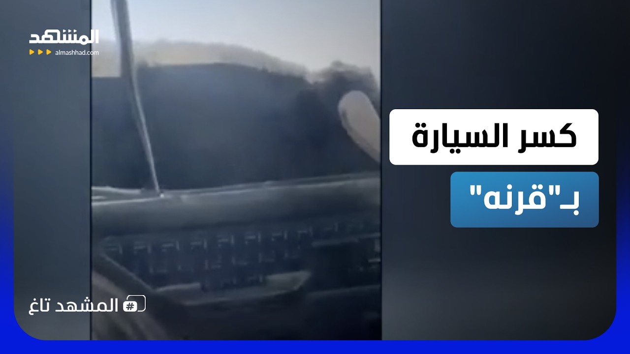كسر الزجاج بـ"قرنه".. ثور هائج يهاجم سيارة والسائق يفاجئ الجميع - المشهد تاغ