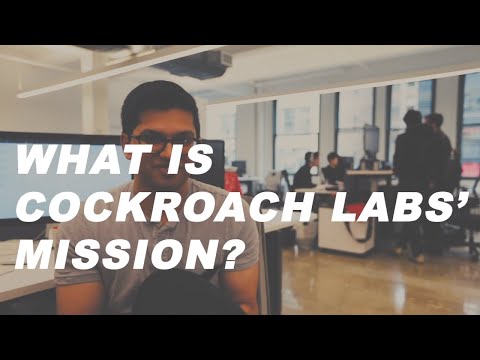 What is the Mission of Cockroach Labs? MAKE DATA EASY