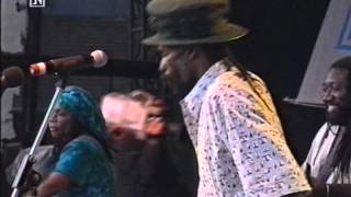 Israel Vibration with Roots Radics - Live at Chiemsee Reggae 1999