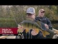 Perch fishing with soft lures - Westin-Fishing