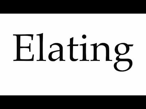 How to Pronounce Elating Video