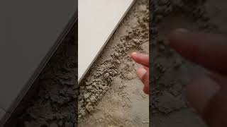 Download lagu Triks rahasia cara pemasangan granit yg mudah..? ADUKAN KERING mp3