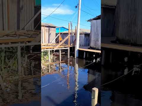 Uma parte a cidade de Lábrea- Amazonas