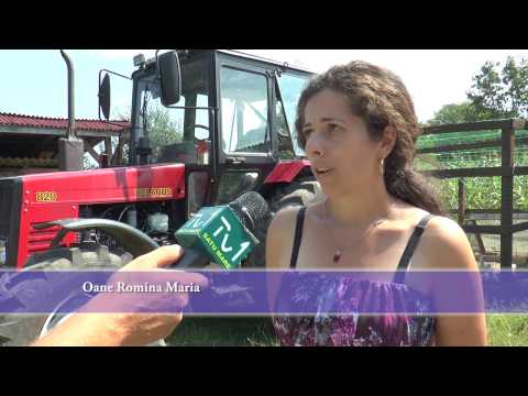 One Romina, Crucişor - Proiect Instalatre Tânăr Fermier, Achizitie Tractor prin GAL Somes-Codru