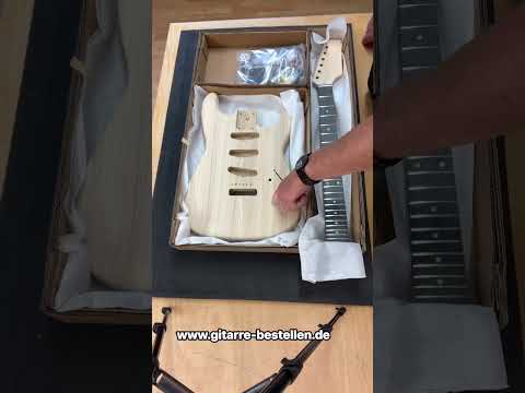 E-Gitarre Bausatz Guitar Kit Style I ohne Pickguard, Esche Body