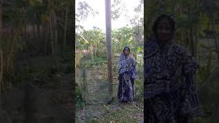 preview picture of video 'গলাচিপা পল্লী বিদুৎ'