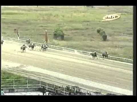 Resumen Viernes, 17 de Enero de 2014 - Valencia