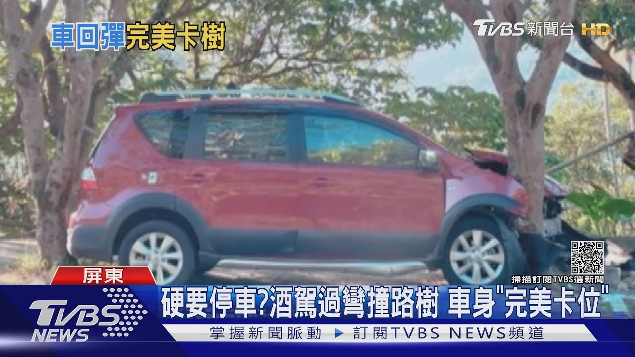 神卡位！過彎自撞路樹「車身卡2樹中間」　網友：硬要停車？