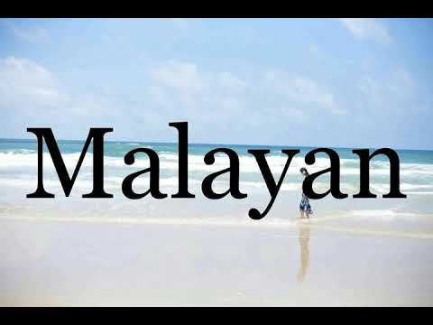 How To Pronounce Malayan🌈🌈🌈🌈🌈🌈Pronunciation Of Malayan