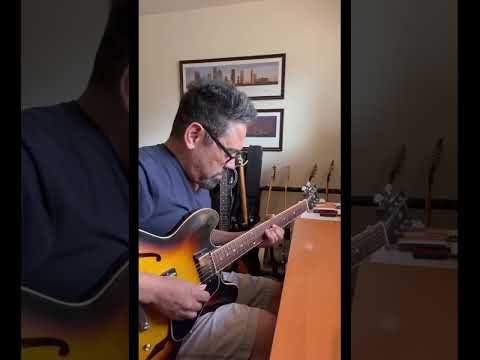 Gibson ES-335 Dot 2007 - Vintage Sunburst image 12