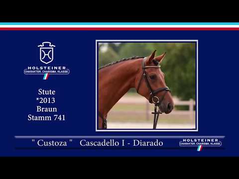Custoza SR v. Cascadello-Diarado-Levisto