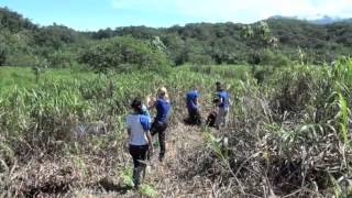 preview picture of video 'Wiederbewaldung - Reforestation Finca Amable, Costa Rica,  2013'