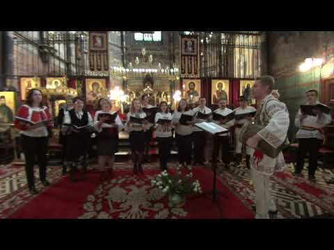 Vine hulpe di la munte