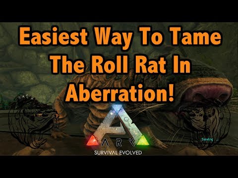 The Easiest Way To To Tame The Roll Rat In Ark Aberration!