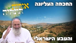 הרב אביהוא שורץ  | אורות התחיה | החכמה העליונה והטבע הישראלי | י"ג כסלו תשפ"ו | ישיבת מרכז הרב (ישיבת מרכז הרב) - התמונה מוצגת ישירות מתוך אתר האינטרנט יוטיוב. זכויות היוצרים בתמונה שייכות ליוצרה. קישור קרדיט למקור התוכן נמצא בתוך דף הסרטון