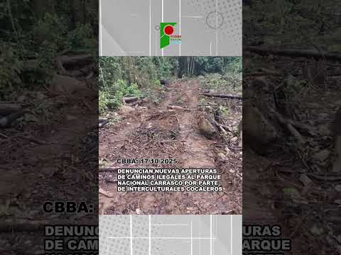 DENUNCIAN APERTURA DE CAMINOS ILEGALES EN EL PAQUE NACIONAL CARRASCO