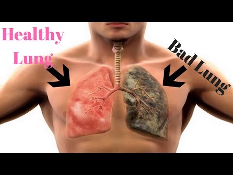 Cleanse and Rejuvenate Smokers Lungs - How to Detox Smokers Lungs Fast Video