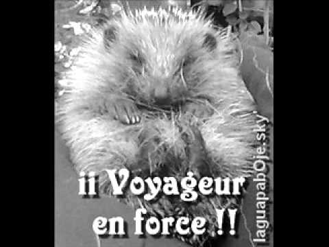 nino gitan-allez tchavo on va chiné