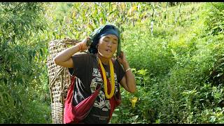 Carrying a load of corn from the village, going homellRuralvillagelife