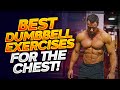 Best Dumbbell Exercises for the Chest!