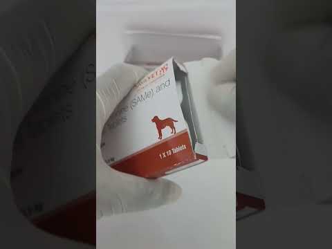 Lisybin medium tab.vet, 200 mg