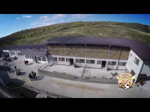 Ferma - Domeniul Girbea