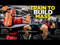 TRAIN to Build MASS! (ESSENTIAL FOR BEGINNERS/ INTERMEDIATE LIFTERS) UPPER BODY Workout Explained