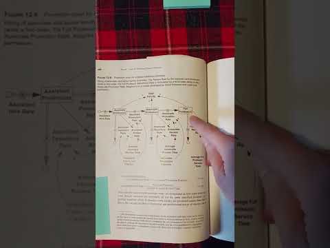 Explanation of Systems Dynamics Modeling