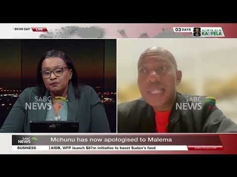 Julius Malema files urgent contempt application against Ngizwe Mchunu