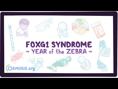 Canavan disease Year of the Zebra