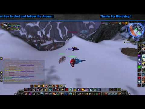 Warmane server - Exotic pet - Skoll ( Icecrown Realm )