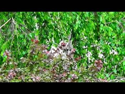 becixmat - Relax 686 - Po búrke - After the storm