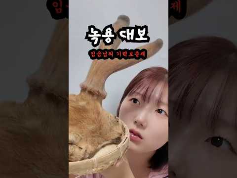 이젠 나도 이 영상아니면 보기도 힘듬;;; [녹용 대보]