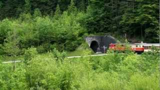 preview picture of video 'Mariazellerbahn - 2095 013 + 1099 011 mit R 6804 Buchberg'