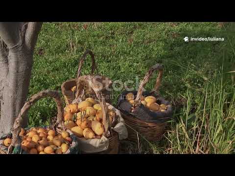 Forme de relief  munți, dealuri, câmpii