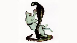 Les Savy Fav - This Incentive