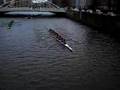 Colours novice girls rowing 2007 Trinity Vs UCD