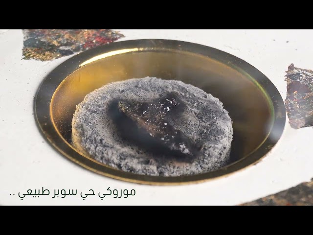 خشب موروكي حي سوبر طبيعي