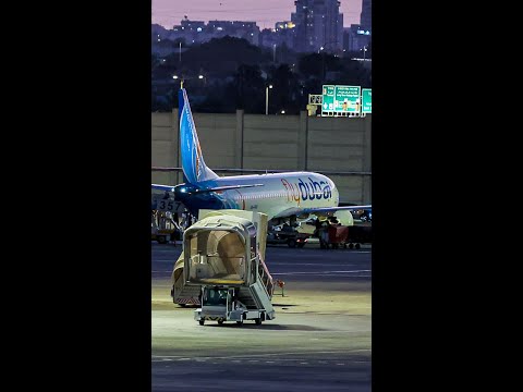 Flydubai pilot attacked captain with cockpit's crash axe