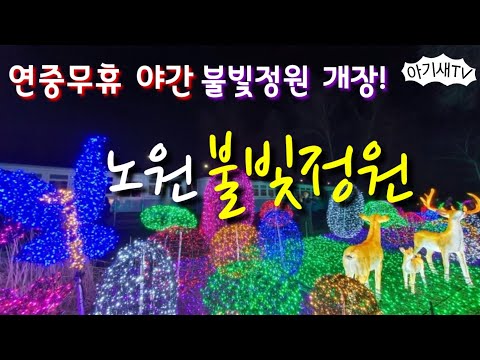 [가족나들이] 노원불빛정원 | 서울시 최초, 연중무휴 야간 불빛정원 개장