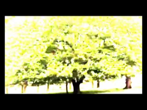 Mason Clinic- Ocean Communication