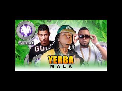 La Manta - Yerba mala ft Shelow Shaq, Musicologo /2017