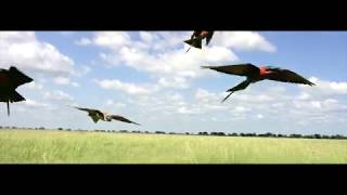 صورة ليلي بين الجنة والنار - الجزء الأول _ الجنة