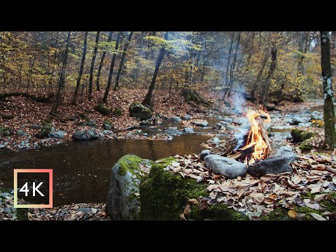 4 hours - Autumn Campfire Sounds by the River | Nature Sounds | ASMR Nature | 4K
