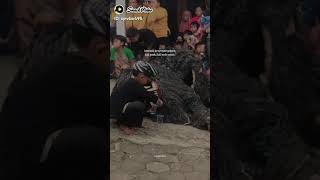 Download lagu story wa barongan kata kata mp3
