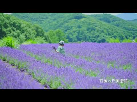 石神の丘美術館／岩手町PR動画short Vol.９