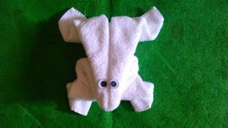 FROG - MY TOWEL CREATION