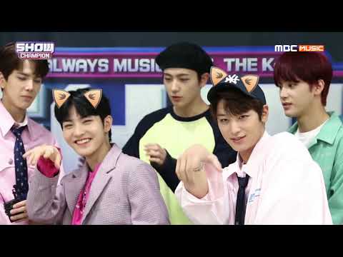 Show Champion EP.316  꽃이 될 더보이즈 엔딩요정은